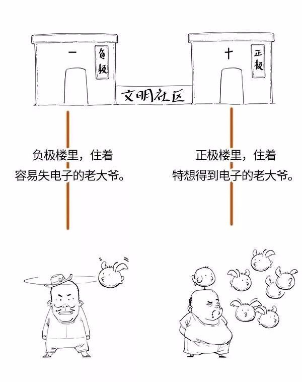 電解質小區